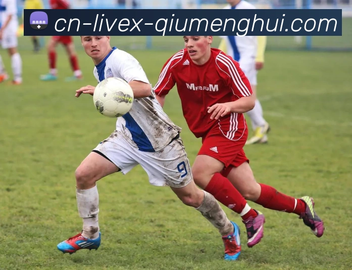 多媒体互动体验